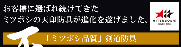 ミツボシ製『天』極厚8ｍｍ織刺剣道防具セット
