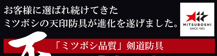 ミツボシ製『天』6ｍｍ織刺剣道防具セット
