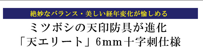 ミツボシ製『天エリート』6ｍｍ十字刺織刺剣道防具セット