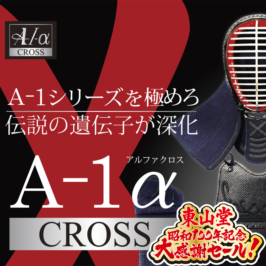 2025大感謝セール]A-1αCross剣道防具セット[第二弾20台限定